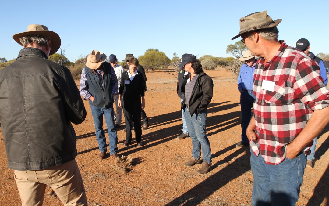 Pastoral Profit Workshop at Nallan Station Cue on 23 May 2016