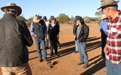 Pastoral Profit Workshop at Nallan Station Cue on 23 May 2016